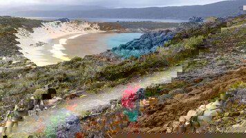 5 Day Three Capes (Adventure Walk) (Tasmanian Walking Company)