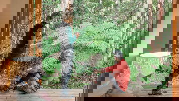 The Twelve Apostles Lodge