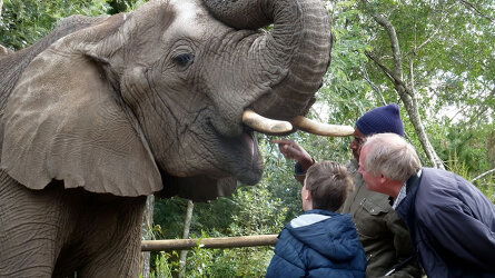 Spot the Big 5 in Africa