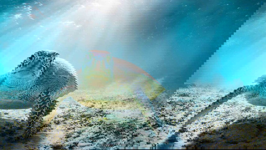 Hidden Galapagos & Peru