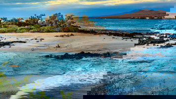 9 Day Cruising the Galapagos Islands (Tauck)