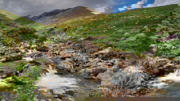 14 Day The Best of Ireland (Small Groups) (Tauck)