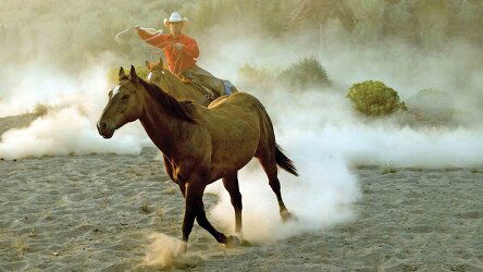 9 Day Legends of the American West (Tauck)