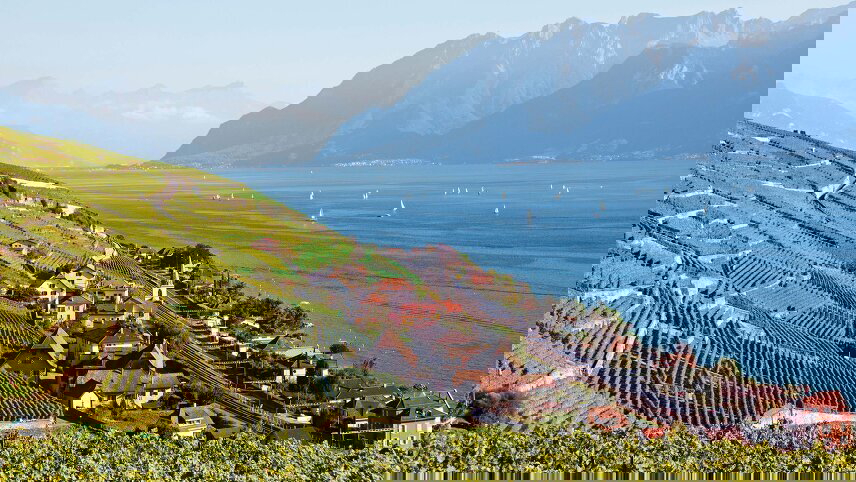 Rhine Connoisseur: Lake Geneva to Belgium - Northbound