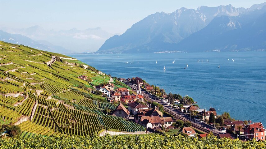 Rhine Connoisseur: Brussels to Montreux