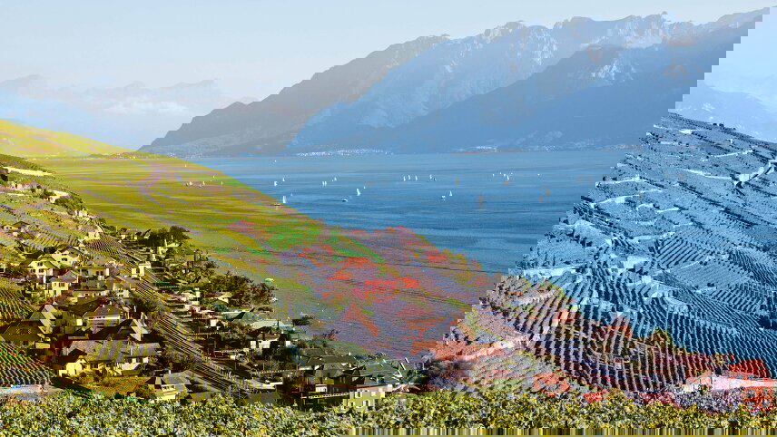 Rhine Connoisseur: Brussels to Montreux - Southbound