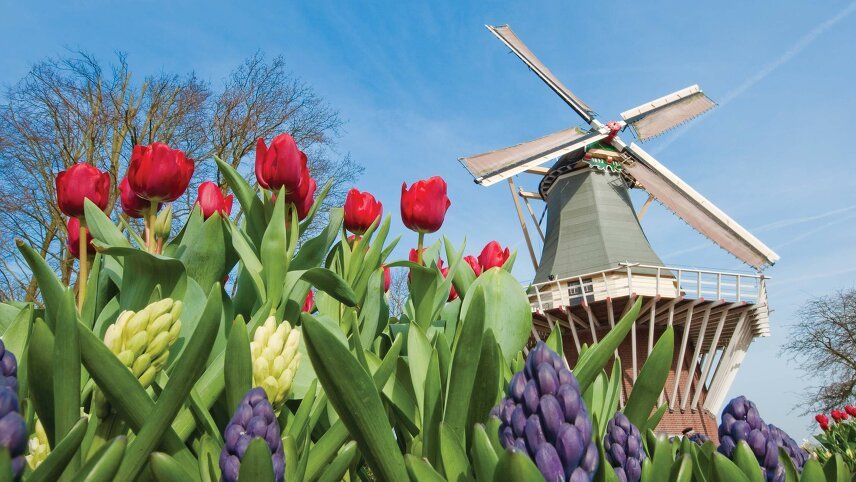 Belgium & Holland in Spring