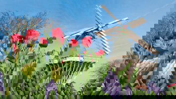 9 Day Belgium & Holland in Spring - Northbound (Tauck)