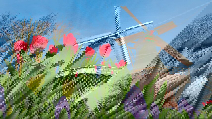 Belgium & Holland in Spring - Northbound