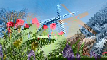 9 Day Belgium & Holland in Spring - Northbound (Tauck)