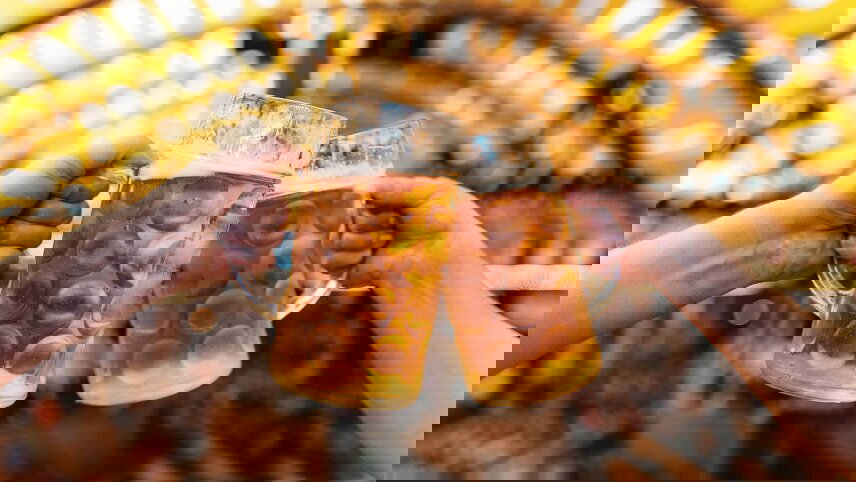 Autumn Along the Rhine: Munich's Oktoberfest