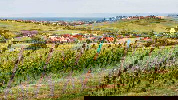 11 Day Rhine Enchantment, Milan to Amsterdam - Northbound (Tauck)