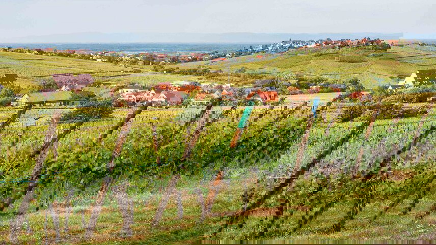 Rhine Enchantment, Milan to Amsterdam - Northbound