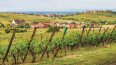 11 Day Rhine Enchantment, Milan to Amsterdam - Northbound (Tauck)