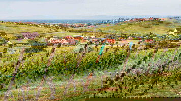 11 Day Rhine Enchantment, Amsterdam to Milan - Southbound (Tauck)