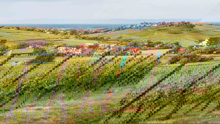 Rhine Enchantment, Amsterdam to Milan - Southbound