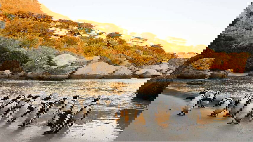 South Africa: An Elegant Adventure