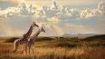 10 Day Tanzania: Serengeti to Zanzibar (Tauck)