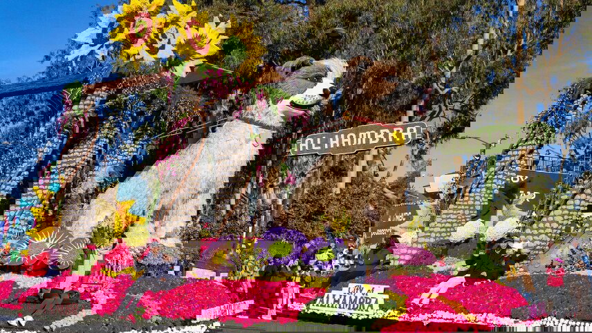 A Celebration of Roses