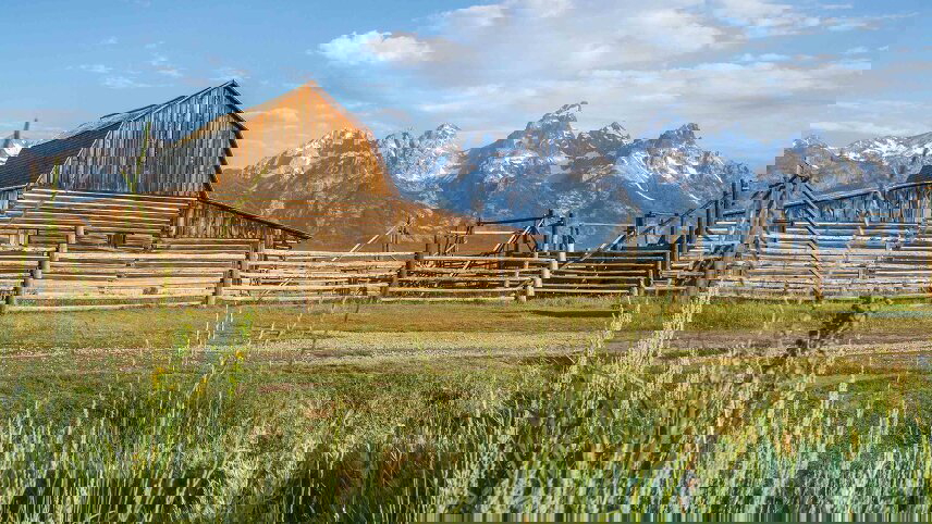 Yellowstone & the Tetons: American Safari