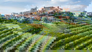 8 Day A Week In... Piedmont (Tauck)