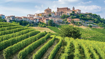 8 Day A Week In... Piedmont (Tauck)