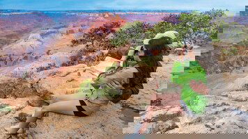 8 Day Red Rocks & Painted Canyons (Tauck)