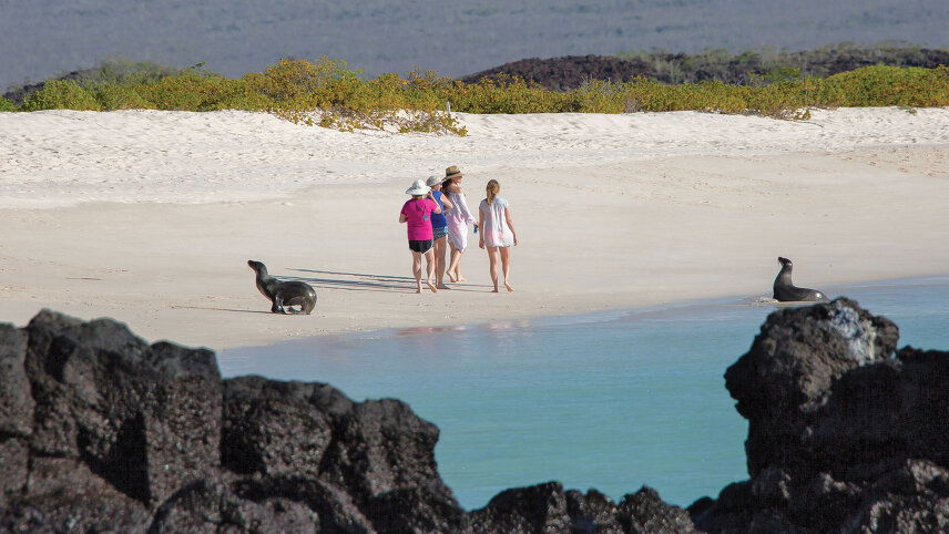 Galapagos: Wildlife Wonderland