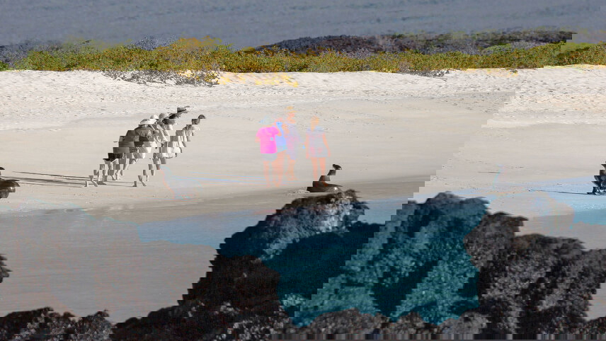 Galapagos: Wildlife Wonderland