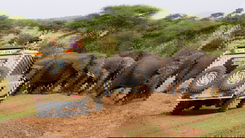 Tanzania: A Grand Family Safari