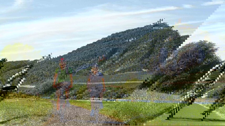 Castles on the Rhine: Family Riverboat Adventure - Northbound