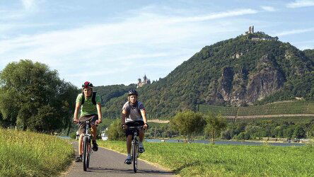 8 Day Castles on the Rhine: Family Riverboat Adventure (Tauck)