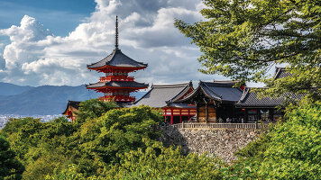 10 Day Journey Through Japan... A Family Adventure (Tauck)