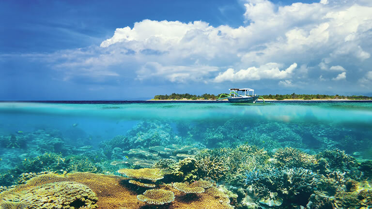 Delve Deep: Bali & the Gili Islands