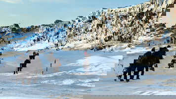 8 Day Delve Deep: Iceland (Winter) (Topdeck)