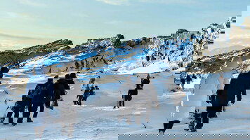 8 Day Iceland (Winter): Geysers & Glaciers (Topdeck)