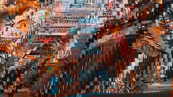 7 Day Japan Highlights: Karaoke & Katsu (Topdeck)