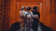 12 Day Japan: Sushi & Shrines (Topdeck)