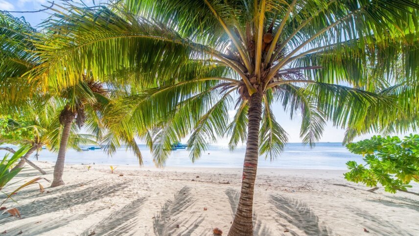 Maldives: Sunsets & Sea Life