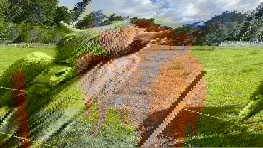 UK & Ireland: Panoramas & Pubs