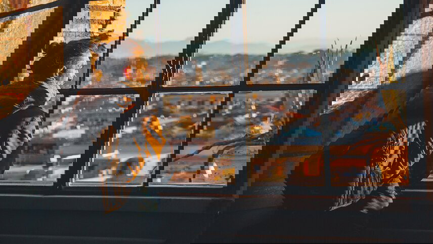 Play & Pause: Great European (Winter)