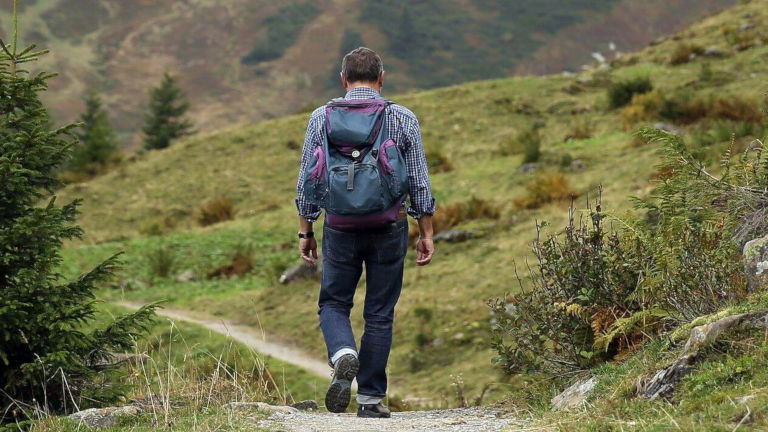 Walk in nature Walk in nature