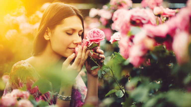 In Full Bloom with Trafalgar