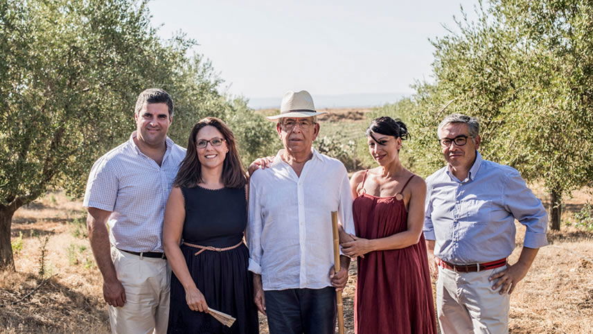 Experience the hospitality at an Olive Oil mill in Seville, Spain