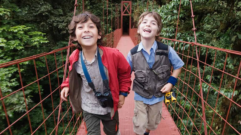 Monkeys, Jungles and Volcanoes