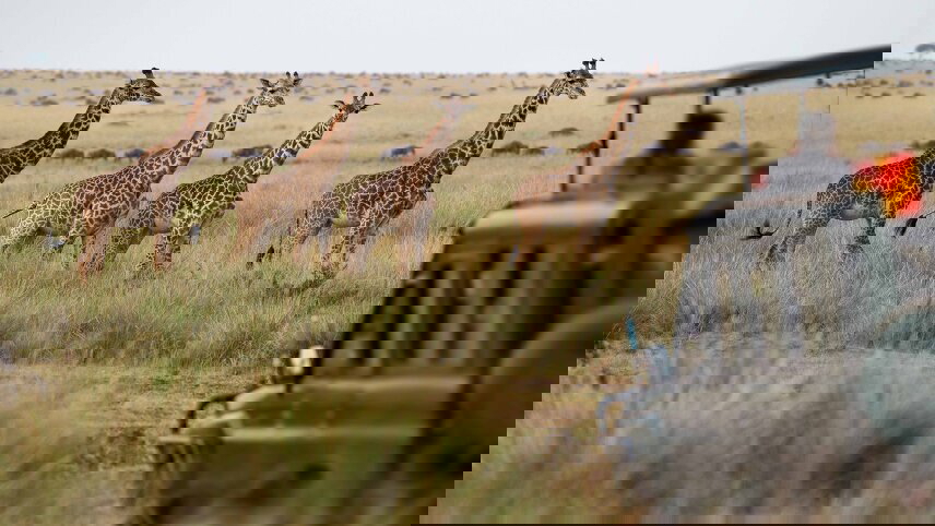 Essence of South Africa