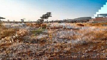 18 Day Best of South Africa with Victoria Falls (Trafalgar)