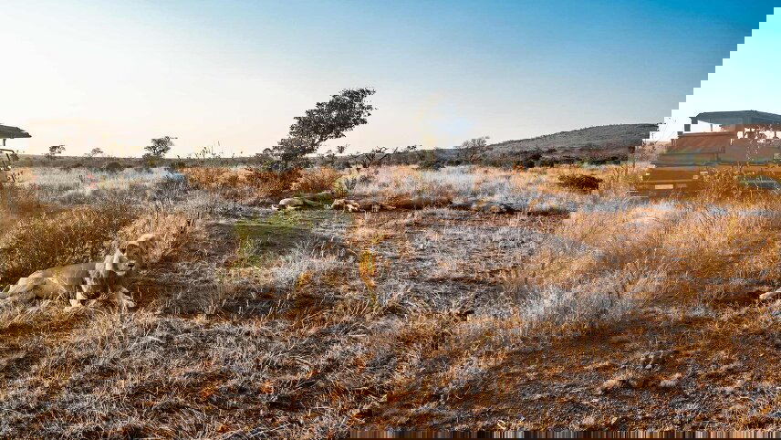 Best of South Africa with Victoria Falls