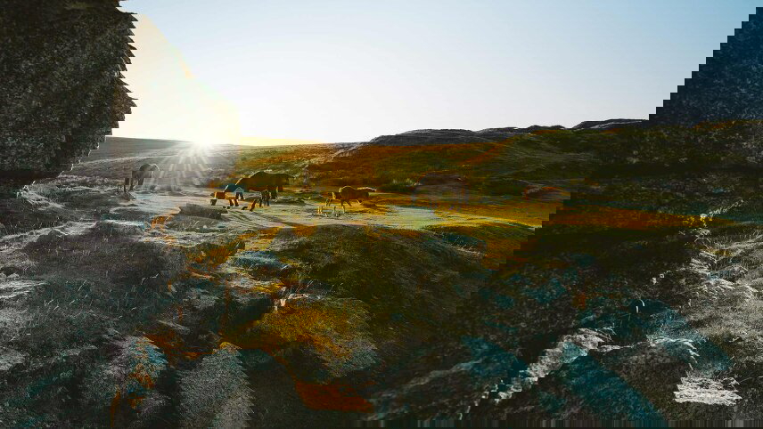 Best of Devon and Cornwall