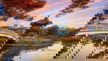 10 Day Best of South Korea (Trafalgar)